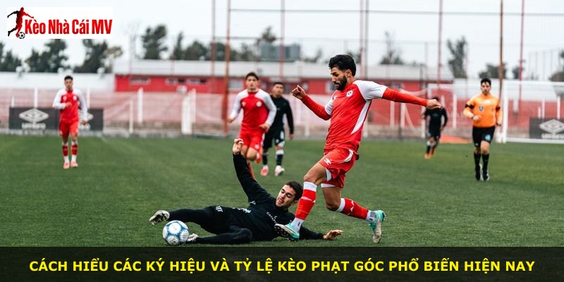 Cách hiểu các ký hiệu và tỷ lệ kèo phạt góc phổ biến hiện nay