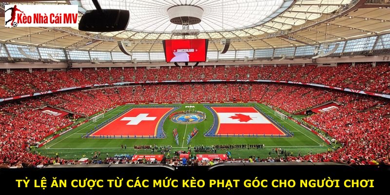 Tỷ lệ ăn cược từ các mức kèo phạt góc cho người chơi