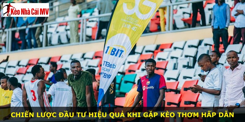 Chiến lược đầu tư hiệu quả khi gặp kèo thơm hấp dẫn