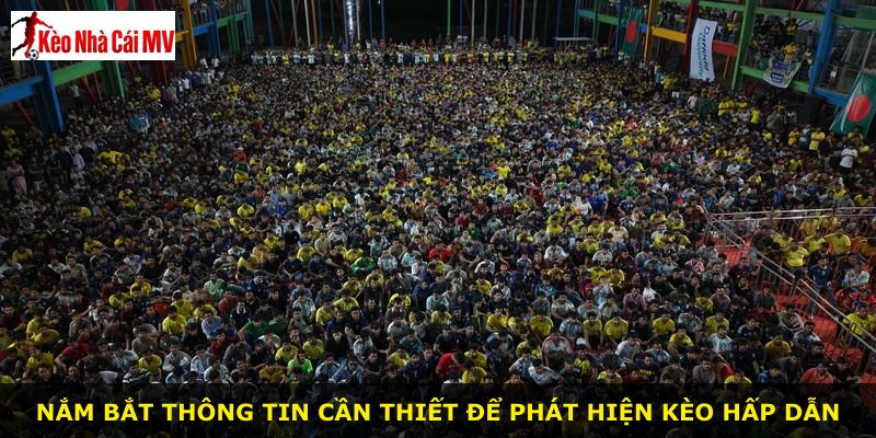 Nắm bắt thông tin cần thiết để phát hiện kèo hấp dẫn