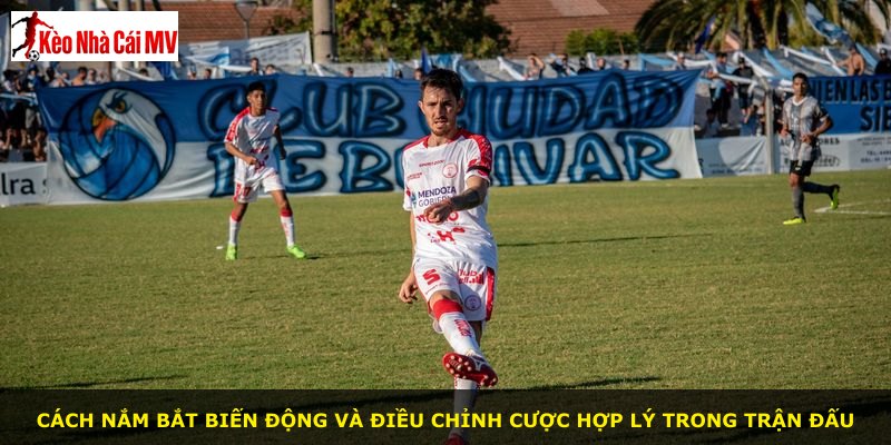 Cách nắm bắt biến động và điều chỉnh cược hợp lý trong trận đấu
