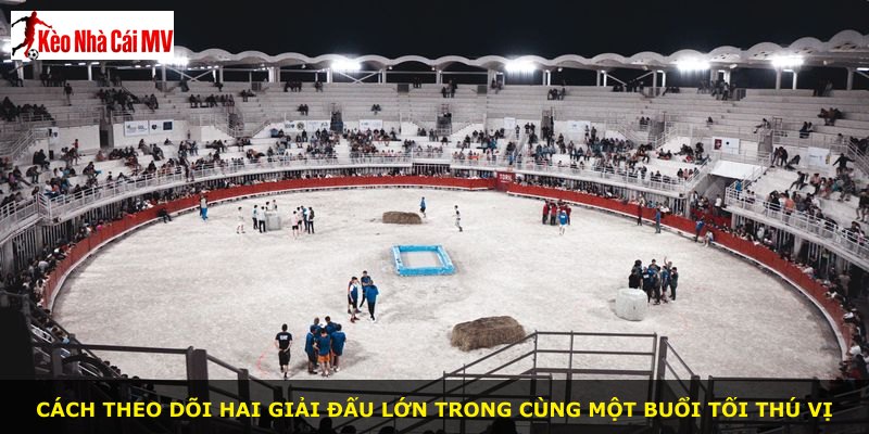 Cách theo dõi hai giải đấu lớn trong cùng một buổi tối thú vị