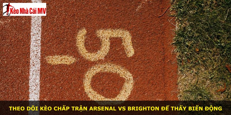 Theo dõi kèo chấp trận Arsenal vs Brighton để thấy biến động