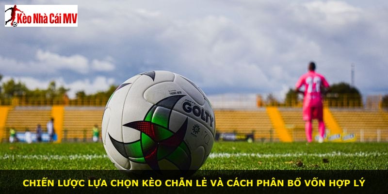 Chiến lược lựa chọn kèo chẵn lẻ và cách phân bổ vốn hợp lý
