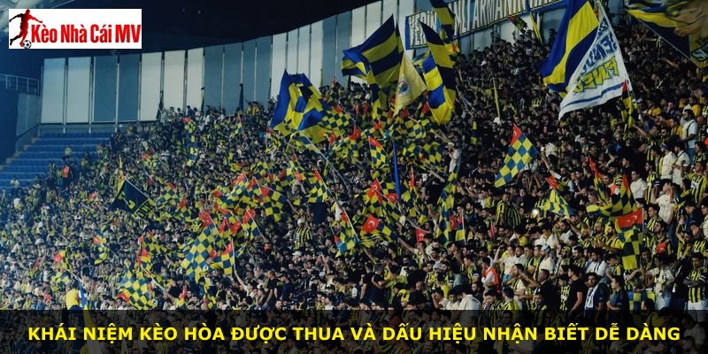 Khái niệm kèo hòa được thua và dấu hiệu nhận biết dễ dàng