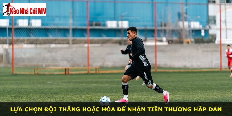 Lựa chọn đội thắng hoặc hòa để nhận tiền thưởng hấp dẫn