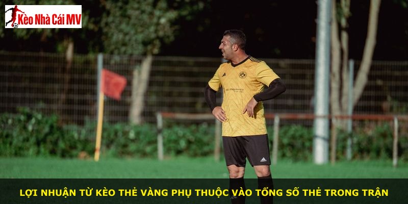 Lợi nhuận từ kèo thẻ vàng phụ thuộc vào tổng số thẻ trong trận