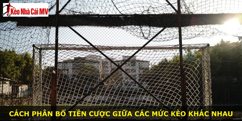 Cách phân bổ tiền cược giữa các mức kèo khác nhau