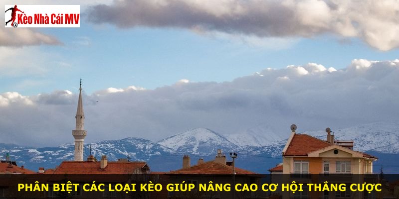 Phân biệt các loại kèo giúp nâng cao cơ hội thắng cược