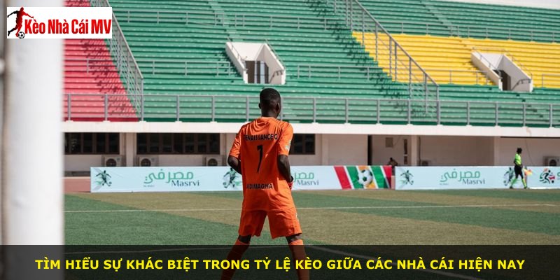 Tìm hiểu sự khác biệt trong tỷ lệ kèo giữa các nhà cái hiện nay