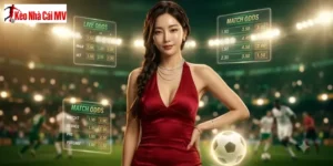 Tân Thủ Nên Rõ Điều Gì Trước Khi Vào Sut88